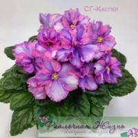 СГ-Каспер