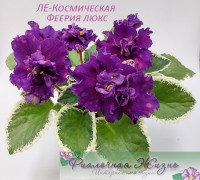ЛЕ-Космическая Феерия люкс