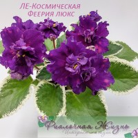 ЛЕ-Космическая Феерия люкс