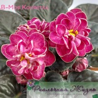 АВ-Моя Конфетка