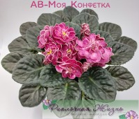 АВ-Моя Конфетка
