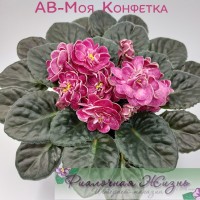 АВ-Моя Конфетка