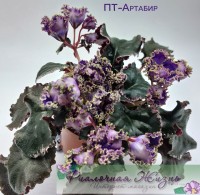 ПТ-Артабир