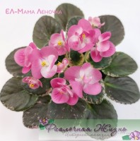 ЕЛ-Мама Леночка