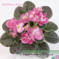 ЕЛ-Мама Леночка