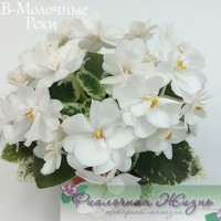 АВ-Молочные Реки