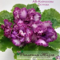 АВ-Каймановы Острова