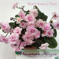 Rob's Vanilla Trail