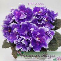 ПТ-Гензель