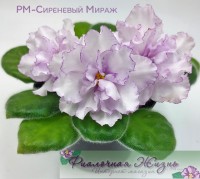 РМ-Сиреневый Мираж