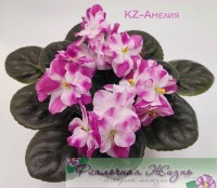 KZ-Амелия