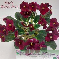 Mac's Black Jack