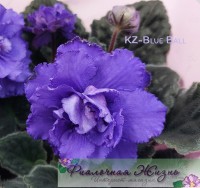 KZ-Blue Ball