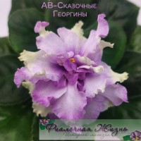 АВ-Сказочные Георгины