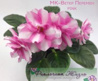 МК-Ветер Перемен pink