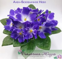 Ален-Безоблачное Небо