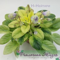 Н-Нейтири