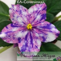 ЕЛ-Семирамида