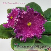 АВ-Тайны Востока