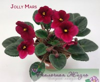 Jolly Mars