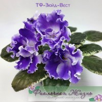 ТФ-Зюйд-Вест