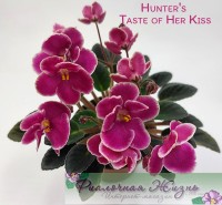 Hunter's Taste of Her Kiss