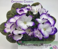 Optimara Charity