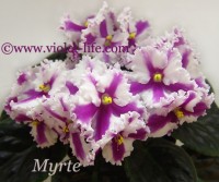 Humako Myrthe 