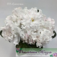 ПТ-Симочка