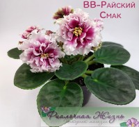ВВ-Райский Смак