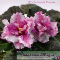 ПТ-Таёжный Роман