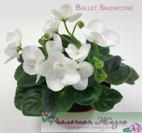 Ballet Snowcone