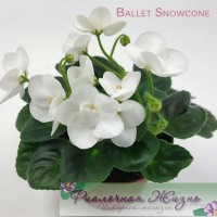 Ballet Snowcone