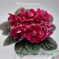 ПТ-Синдерелла