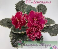 ПТ-Джордана