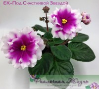 ЕК-Под Счастливой Звездой