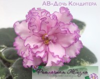 АВ-Дочь Кондитера