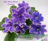 KZ-Май Мой Синий