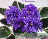 ВаТ-Ливень