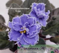 ПТ-Аквамариновые Сны