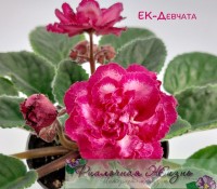 ЕК-Девчата