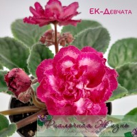 ЕК-Девчата