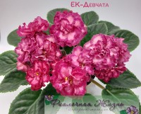 ЕК-Девчата