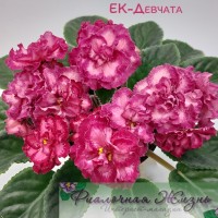 ЕК-Девчата