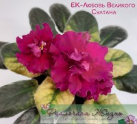 ЕК-Любовь Великого Султана