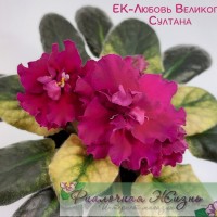 ЕК-Любовь Великого Султана