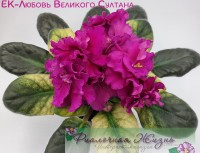ЕК-Любовь Великого Султана