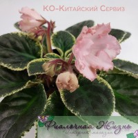 КО-Китайский Сервиз