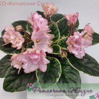 КО-Китайский Сервиз