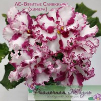 ЛЕ-Взбитые Сливки (химера)